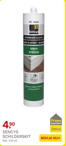 Praxis Sencys Schilderskit aanbieding