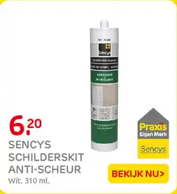 Praxis Sencys Schilderskit Anti-Scheur aanbieding