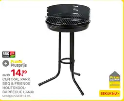 Praxis Central Park BBQ & Friends Houtskoolbarbecue Lanai aanbieding