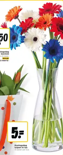 Jumbo Koningsdag Germini aanbieding