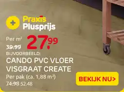 Praxis Cando PVC vloer visgraat create aanbieding