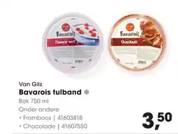 HANOS Van Gils Bavarois tulband aanbieding