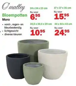 Van Cranenbroek O'malley Bloempotten Moro aanbieding