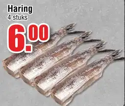 Ter Huurne Holland Markt Haring aanbieding
