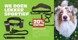 Discus Buikriem met lijn aanbieding