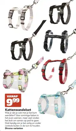 Discus Kattenwandelset aanbieding