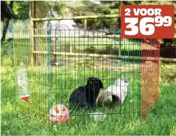 Discus Buitenrennen aanbieding