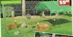 Discus Buitenrennen aanbieding