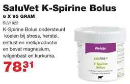 De Boer Drachten SaluVet K-Spirine Bolus SLV1022 aanbieding