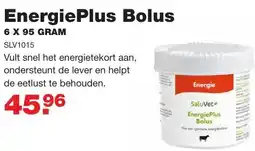 De Boer Drachten EnergiePlus Bolus SLV1015 aanbieding