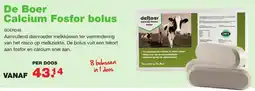 De Boer Drachten De Boer Calcium Fosfor bolus BOER048 aanbieding