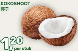 Amazing Oriëntal KOKOSNOOT aanbieding