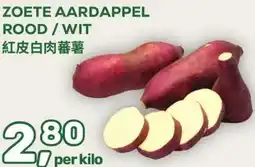 Amazing Oriëntal ZOETE AARDAPPEL ROOD/WIT aanbieding