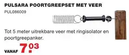 De Boer Drachten Pulsara poortgreepset met veer aanbieding