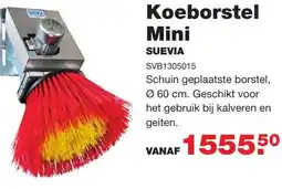 De Boer Drachten Koeborstel mini aanbieding
