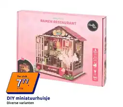 Action DIY miniatuurhuisje aanbieding