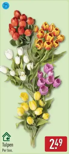 ALDI Tulpen aanbieding