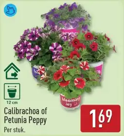 ALDI Calibrachoa of Petunia Peppy aanbieding