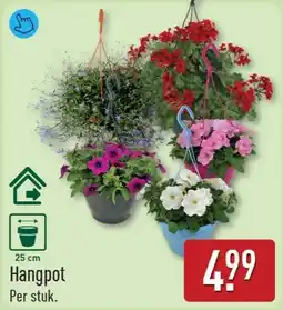 ALDI Hangpot aanbieding
