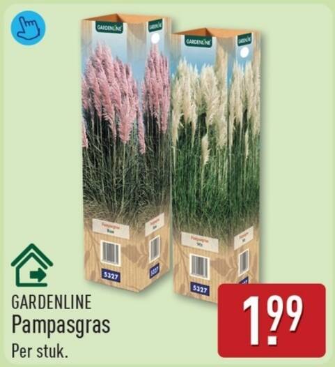 Gardenline Pampasgras aanbieding bij ALDI