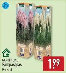 ALDI Gardenline Pampasgras aanbieding