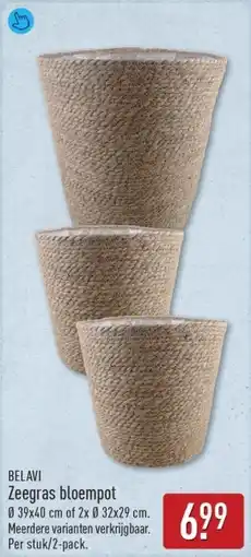 ALDI Belavi Zeegras Bloempot aanbieding