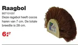 De Boer Drachten Raagbol aanbieding