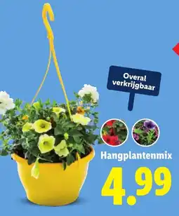 Lidl Hangplantenmix aanbieding