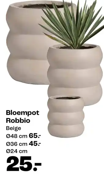 Bloempot Robbio