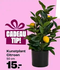 Kwantum Kunstplant Citroen aanbieding