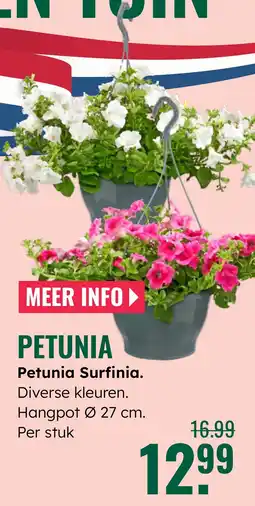 GroenRijk Petunia Surfinia aanbieding