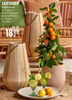 GroenRijk Lantaarn Papiertouw aanbieding