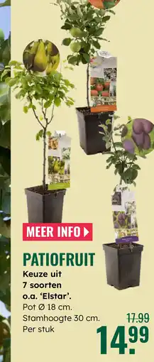 GroenRijk Patiofruit aanbieding