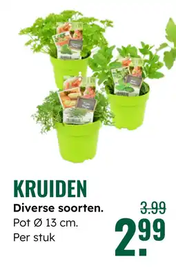 GroenRijk Kruiden diverse soorten aanbieding