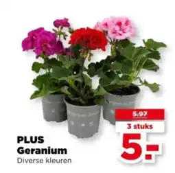 PLUS Plus geranium aanbieding