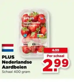 PLUS Plus Nederlandse aardbeien aanbieding