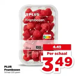 PLUS Plus Frambozen aanbieding