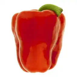 PLUS PLUS Paprika rood aanbieding