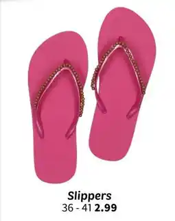 Wibra Slippers aanbieding