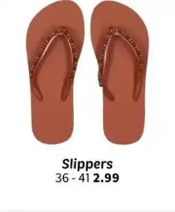 Wibra Slippers aanbieding