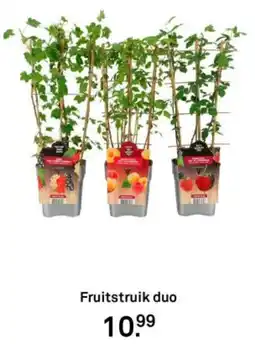 Karwei Fruitstruik duo aanbieding