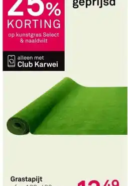 Karwei Grastapijt aanbieding