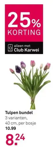 Karwei Tulpen bundel aanbieding