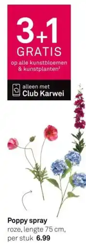 Karwei Poppy spray aanbieding
