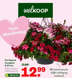 Welkoop Perkgoed hangpot aanbieding
