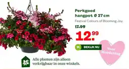 Welkoop Perkgoed hangpot aanbieding