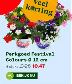 Welkoop Perkgoed Festival Colours aanbieding