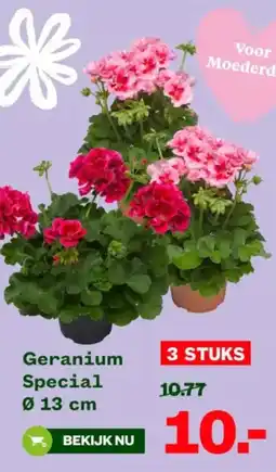 Welkoop Geranium Special aanbieding
