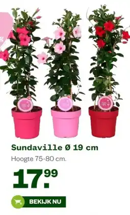 Welkoop Sundaville aanbieding