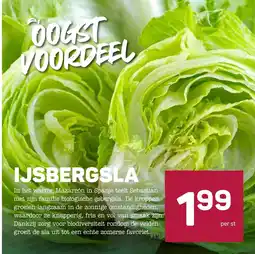 Ekoplaza Oogst voordeel ijsbergsla aanbieding